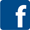 Facebook Orion